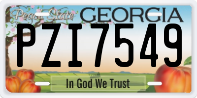 GA license plate PZI7549