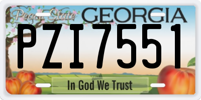 GA license plate PZI7551