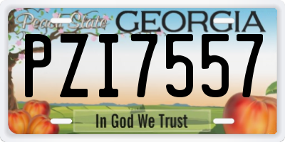 GA license plate PZI7557