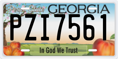 GA license plate PZI7561