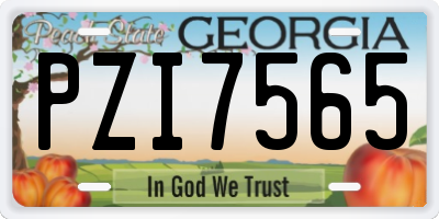 GA license plate PZI7565