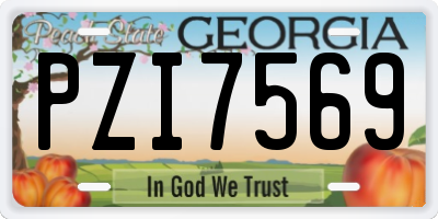GA license plate PZI7569