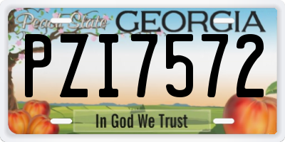 GA license plate PZI7572