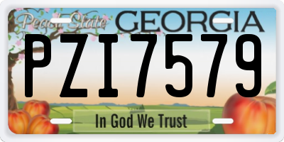 GA license plate PZI7579