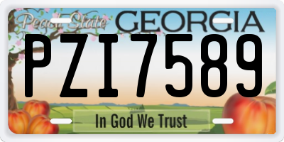 GA license plate PZI7589