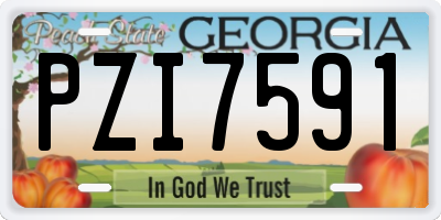GA license plate PZI7591