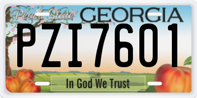 GA license plate PZI7601