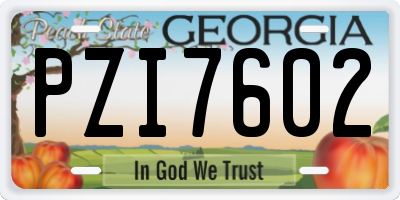 GA license plate PZI7602