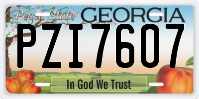 GA license plate PZI7607