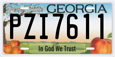 GA license plate PZI7611