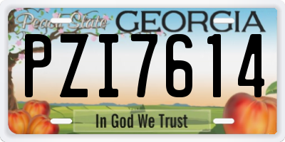 GA license plate PZI7614