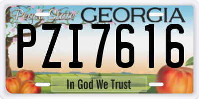 GA license plate PZI7616