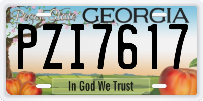 GA license plate PZI7617