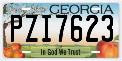 GA license plate PZI7623