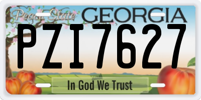 GA license plate PZI7627