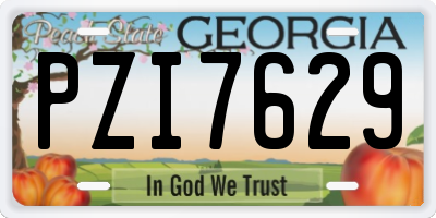 GA license plate PZI7629
