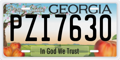 GA license plate PZI7630