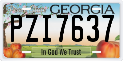 GA license plate PZI7637