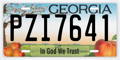 GA license plate PZI7641