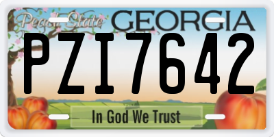 GA license plate PZI7642