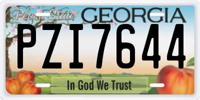 GA license plate PZI7644