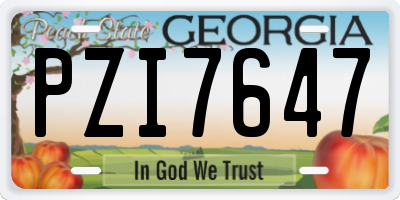 GA license plate PZI7647