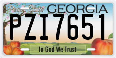 GA license plate PZI7651