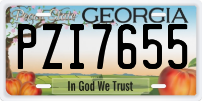 GA license plate PZI7655