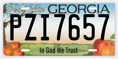 GA license plate PZI7657