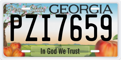 GA license plate PZI7659