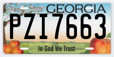 GA license plate PZI7663