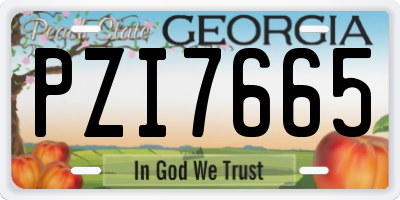 GA license plate PZI7665