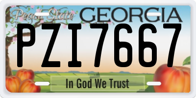 GA license plate PZI7667