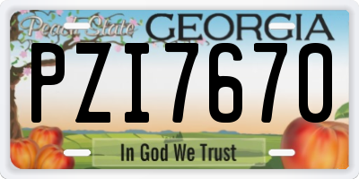 GA license plate PZI7670