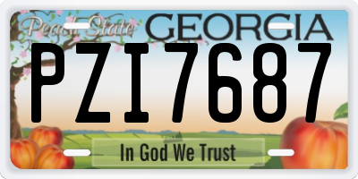 GA license plate PZI7687