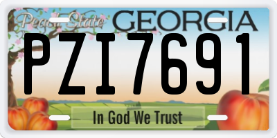 GA license plate PZI7691