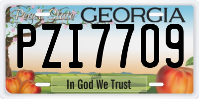 GA license plate PZI7709