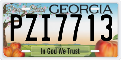 GA license plate PZI7713