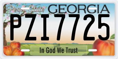 GA license plate PZI7725