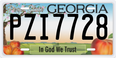 GA license plate PZI7728