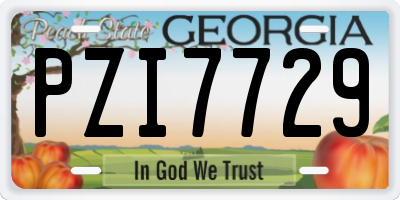 GA license plate PZI7729