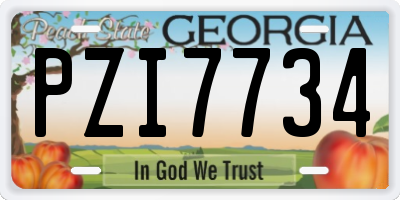 GA license plate PZI7734