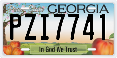 GA license plate PZI7741
