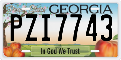 GA license plate PZI7743