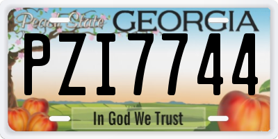 GA license plate PZI7744
