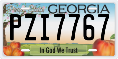 GA license plate PZI7767