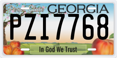 GA license plate PZI7768