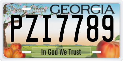 GA license plate PZI7789