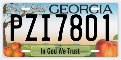 GA license plate PZI7801