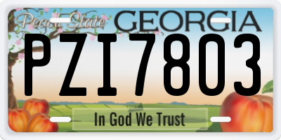 GA license plate PZI7803